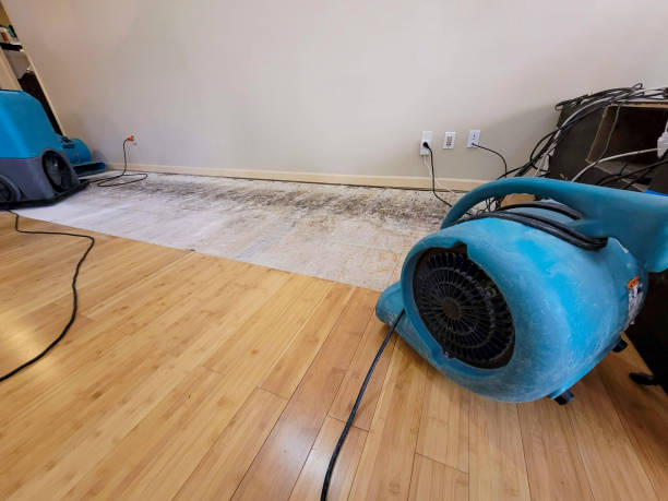 Professional Water Damage Repair technician working in Rockdale, TX